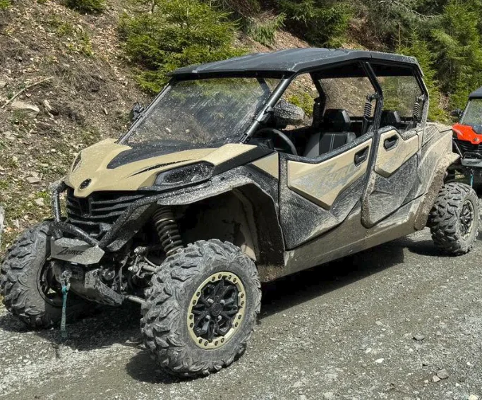 Buggy bej, vedere laterală
